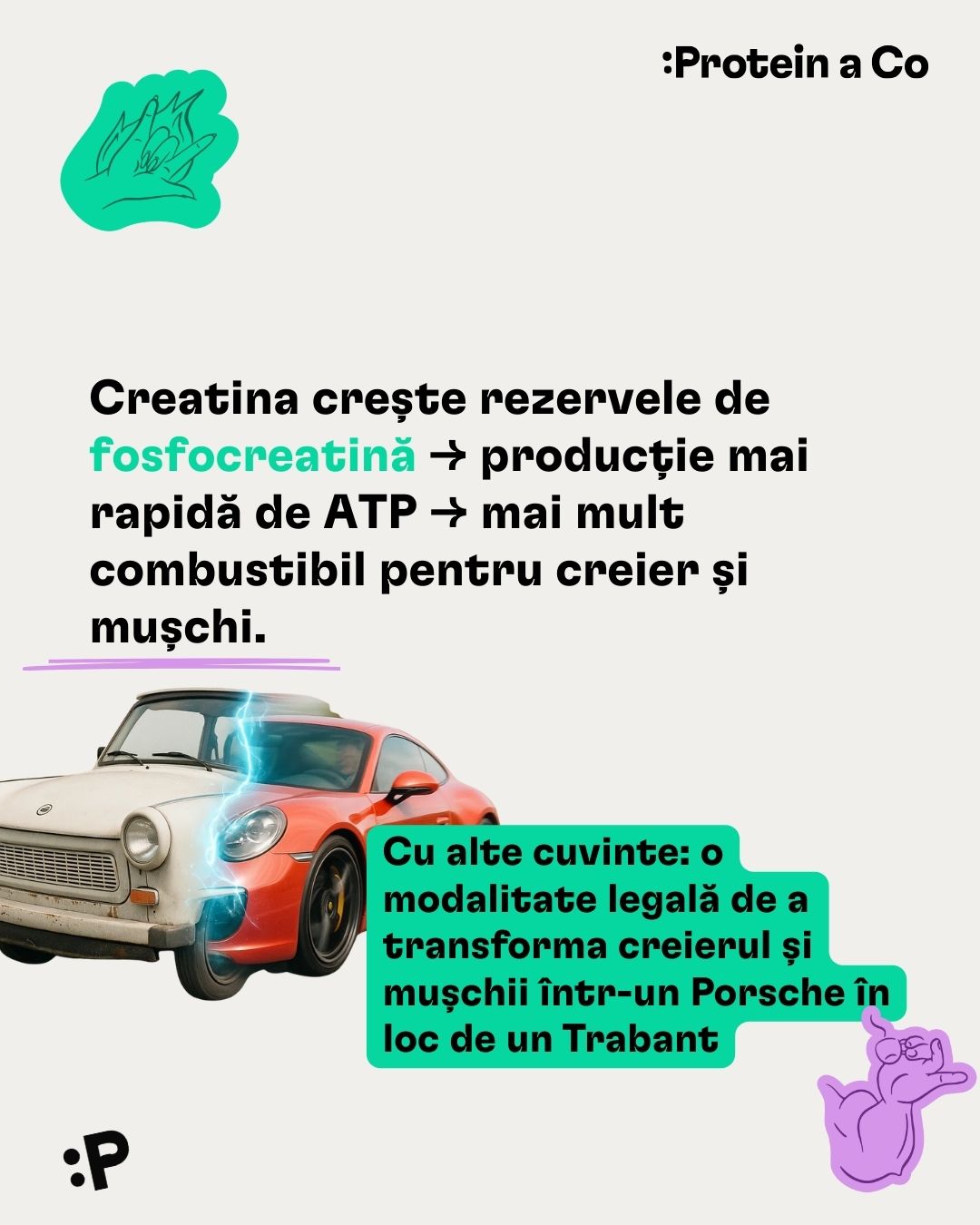 Kreatin-1-RO-clanek-proteinaco